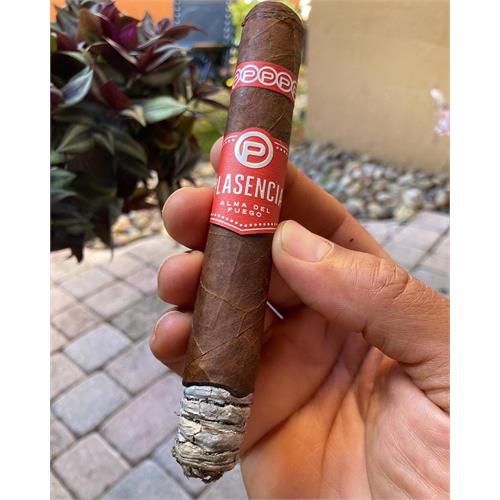 Plasencia Alma del Fuego Concepcion 6  * 54