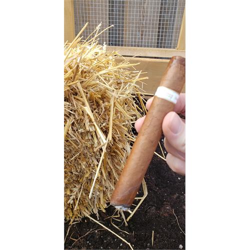 Illusione Epernay 10th Anniversary D Aosta 6  * 50