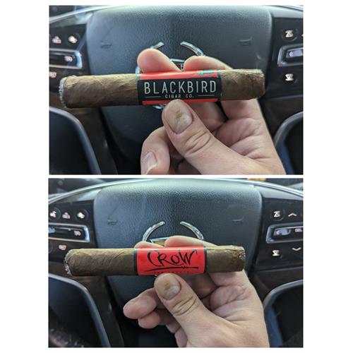 Blackbird Crow Robusto 5  * 50