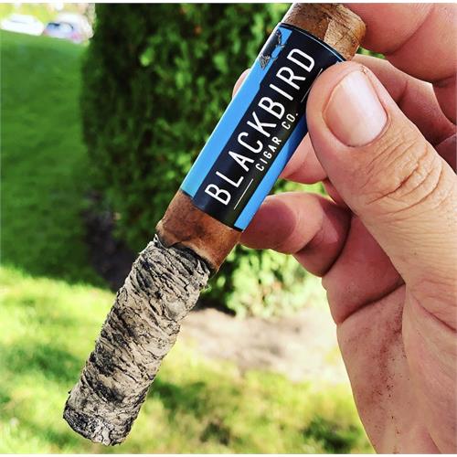 Blackbird Rook Gran Toro 6  * 54