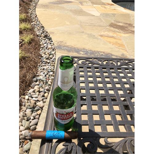 Blackbird Rook Gran Toro 6  * 54