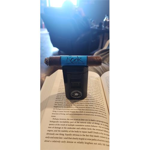 Blackbird Rook Robusto 5  * 50