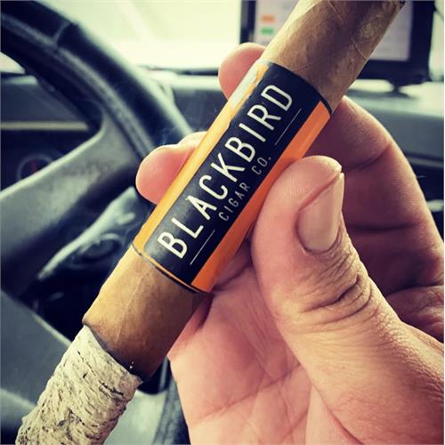 Blackbird Jackdaw Gran Toro 6  * 54