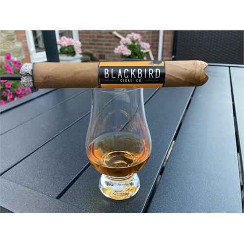 Blackbird Jackdaw Gran Toro 6  * 54