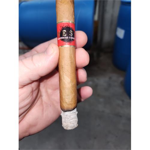 Blackbird Nest Connecticut Toro 6  * 50