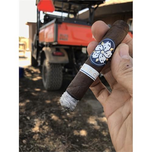 Room 101 The Farce Maduro Toro 6  * 52