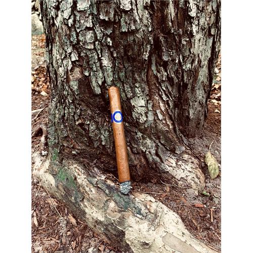 Joya de Nicaragua Numero Uno L ambassadeur 6 5/8 * 44