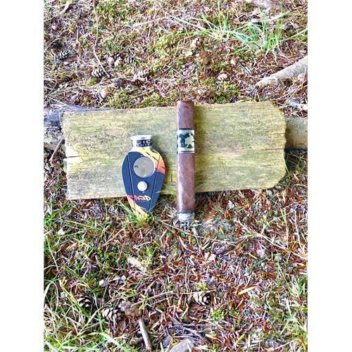 Acid 20 Robusto 5  * 50