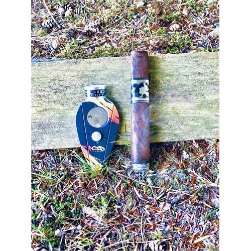 Acid 20 Robusto 5  * 50