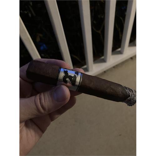 Acid 20 Robusto 5  * 50