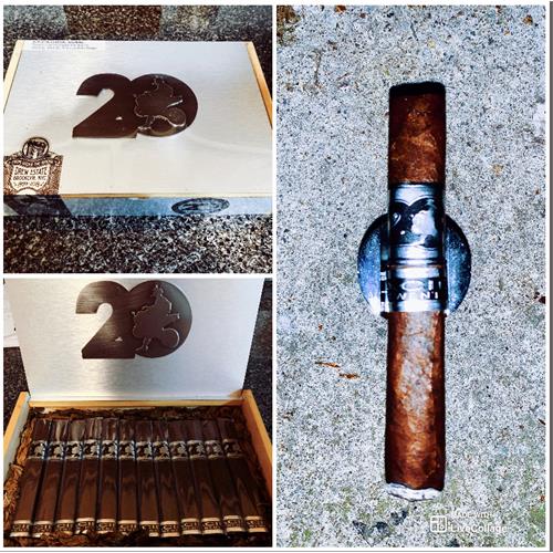 Acid 20 Robusto 5  * 50