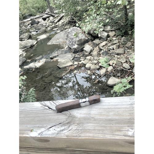 Acid 20 Robusto 5  * 50