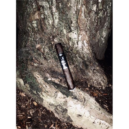 Acid 20 Robusto 5  * 50