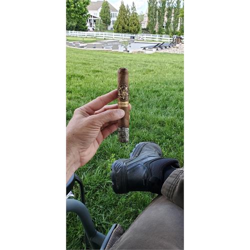 Room 101 Doomsayer Passive Toro 6  * 55