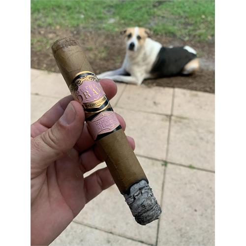 Southern Draw Rose of Sharon Desert Rose Belicoso Fino 5 1/2 * 54