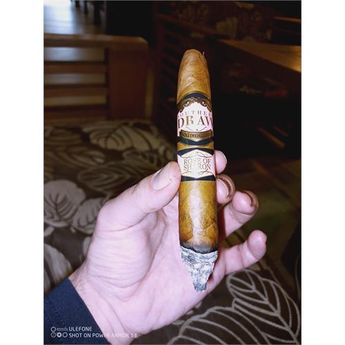 Southern Draw Rose of Sharon Desert Rose Belicoso Fino 5 1/2 * 54
