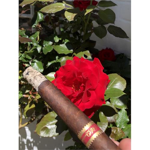 Mi Querida Triqui Traca No. 648 6  * 48