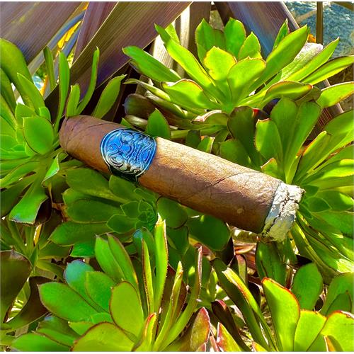 Room 101 The Big Payback Maduro Gordo 6  * 60