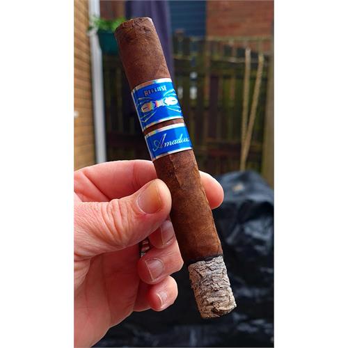 Recluse Amadeus Los Cabos Toro 6 1/4 * 50