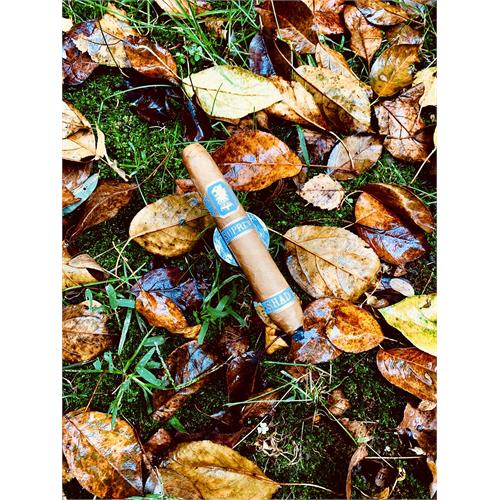 Liga Undercrown Connecticut Shade Limited Edition Suprema 6  * 50/54