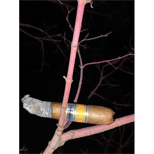 CLE 10-Cigar Sampler