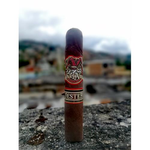 Viva La Vida Jester 5  * 56