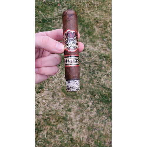 Viva La Vida Jester 5  * 56