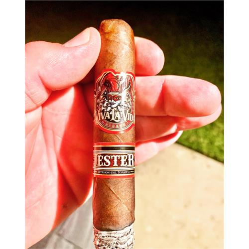 Viva La Vida Jester 5  * 56