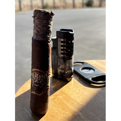 Viva La Vida Jester 5  * 56