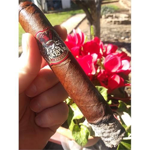 Viva La Vida Gran Toro 6  * 60