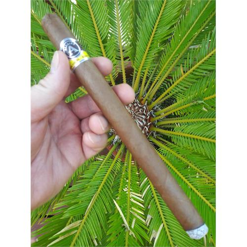 Aladino Patton 9  * 48