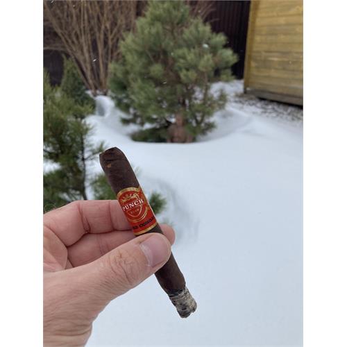 Punch Rare Corojo Rapido 5  * 40