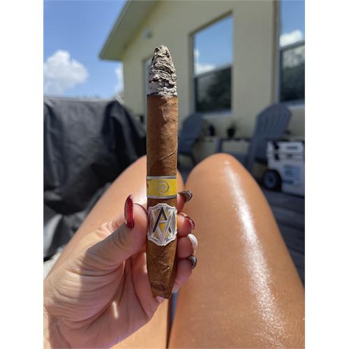 AVO Regional North Edition Perfecto 6 5/8 * 50