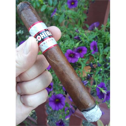 Cohiba Toro Royale 6  * 50
