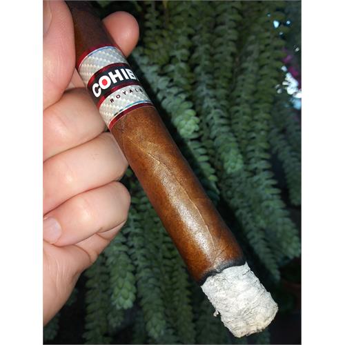 Cohiba Toro Royale 6  * 50