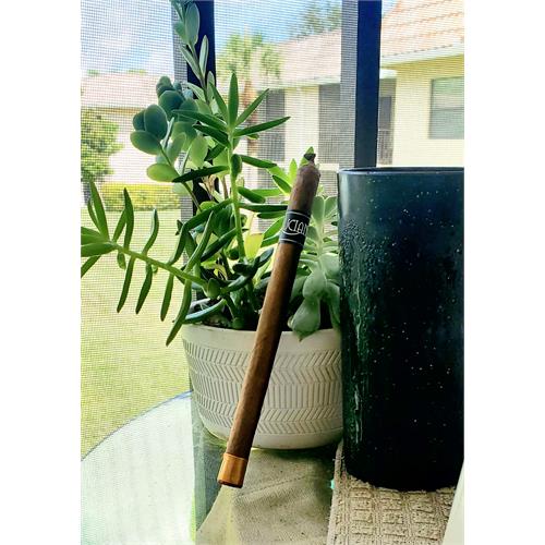 Luciano The Dreamer Lancero 7 1/2 * 38