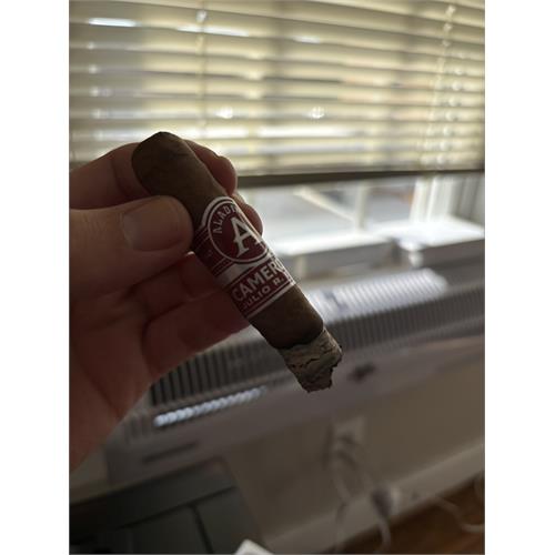 Aladino Cameroon Lonsdale 6  * 43