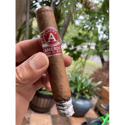 Aladino Cameroon Super Toro 6  * 52