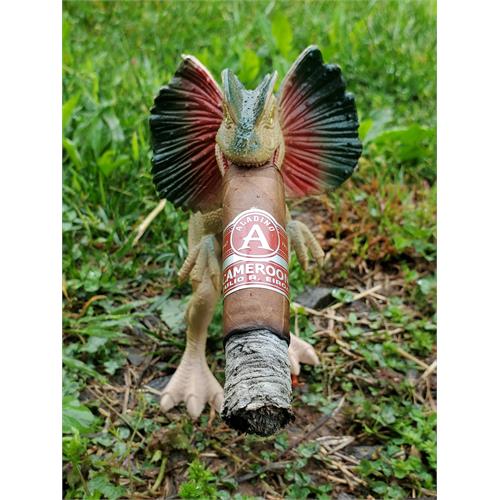 Aladino Cameroon Super Toro 6  * 52