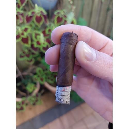 Bolivar Cofradia Petit Corona 4 1/2 * 36