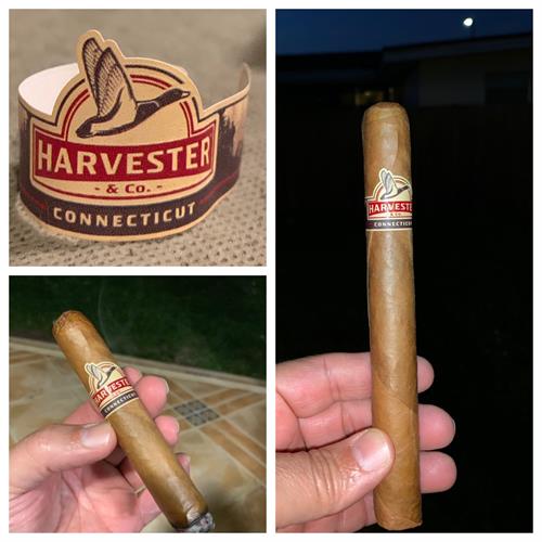 Harvester Connecticut Churchill 7  * 50