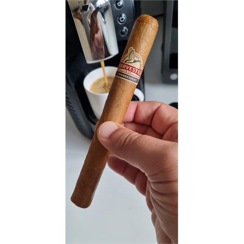 Harvester Connecticut Churchill 7  * 50