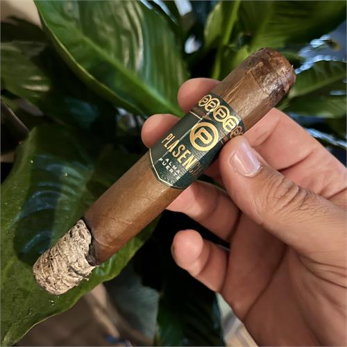 Plasencia Alma Fuerte Colorado Claro Sixto I Hexagon 6  * 60