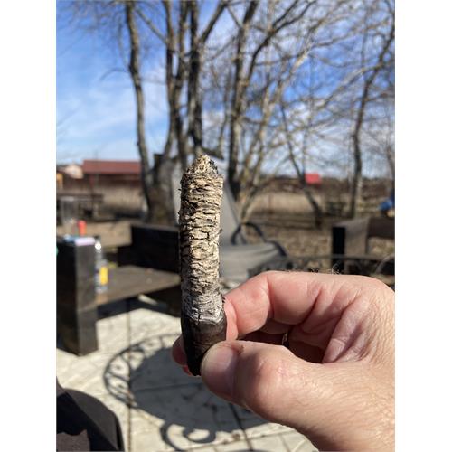 EP Carrillo Pledge Prequel 5  * 50