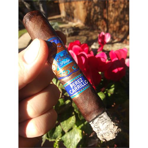 EP Carrillo Pledge Prequel 5  * 50