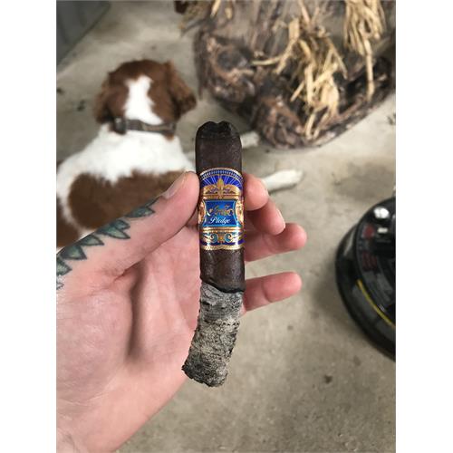 EP Carrillo Pledge Prequel 5  * 50