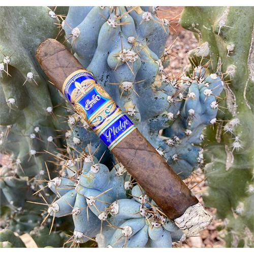 EP Carrillo Pledge Sojourn 6  * 52