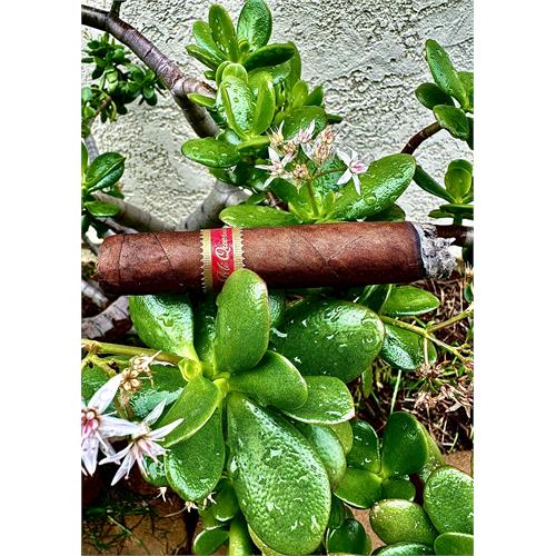 Mi Querida Triqui Traca No. 652 6  * 52