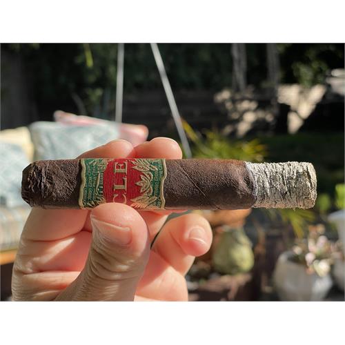 CLE 25th Anniversary Robusto 5  * 50