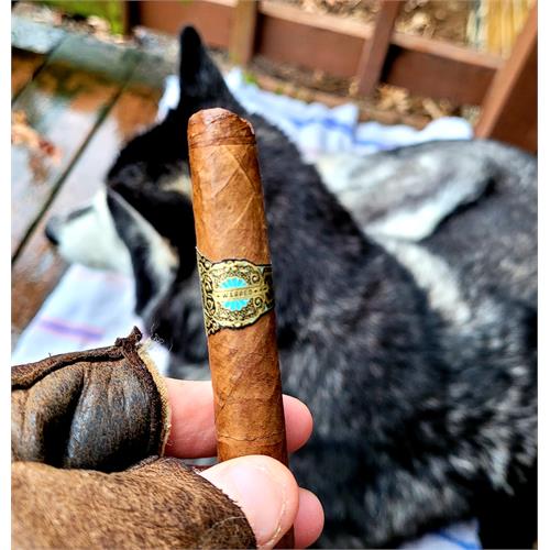 Warped Flor del Valle Sky Flower Lancero 7  * 40